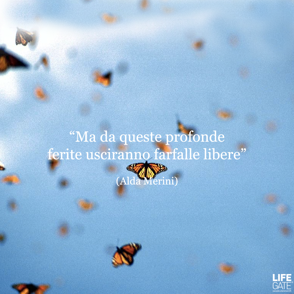 Le Parole Le Porta Via Il Vento