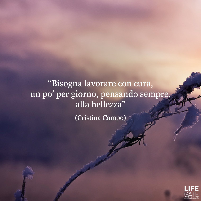 Le citazioni più belle per sempre 4 LifeGate