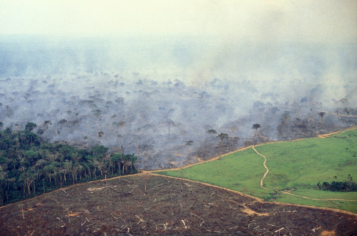 Deforestazione nell'Amazzonia brasiliana