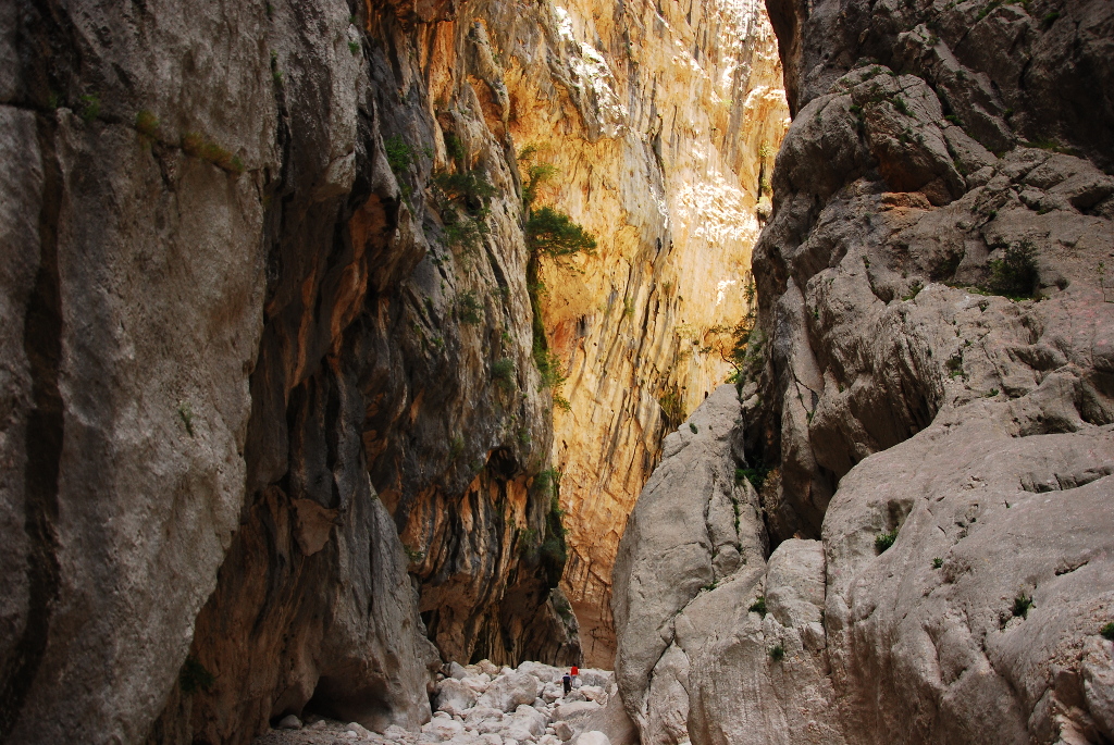 Gola Gorropu Il Canyon Di Sardegna LifeGate