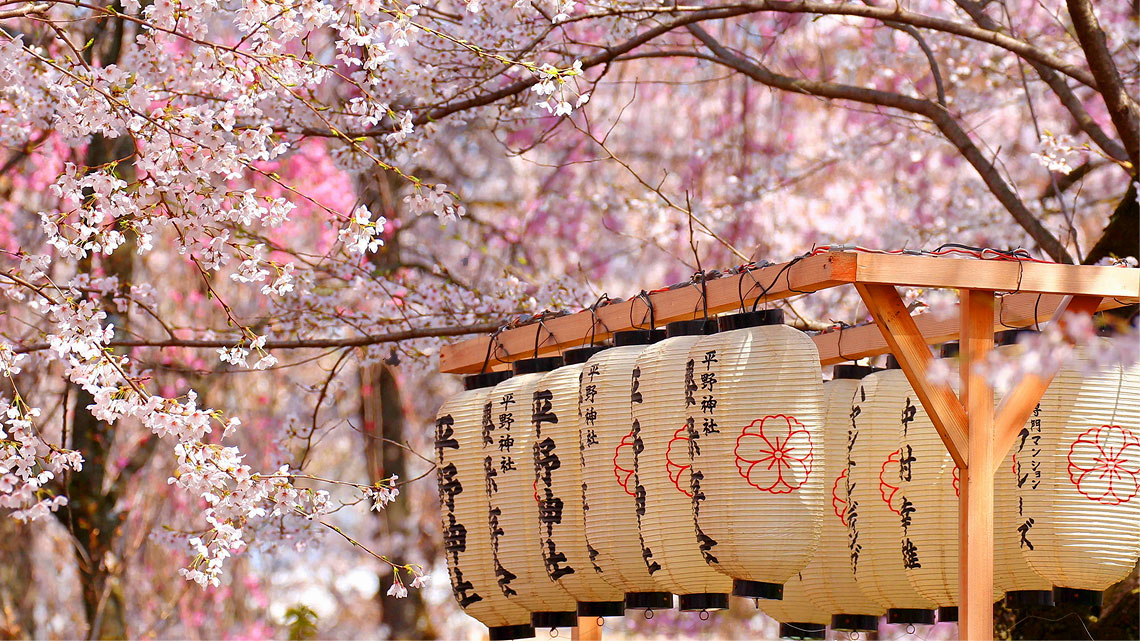 l-ora-dell-hanami-la-contemplazione-dei-ciliegi-in-fiore-in-giappone