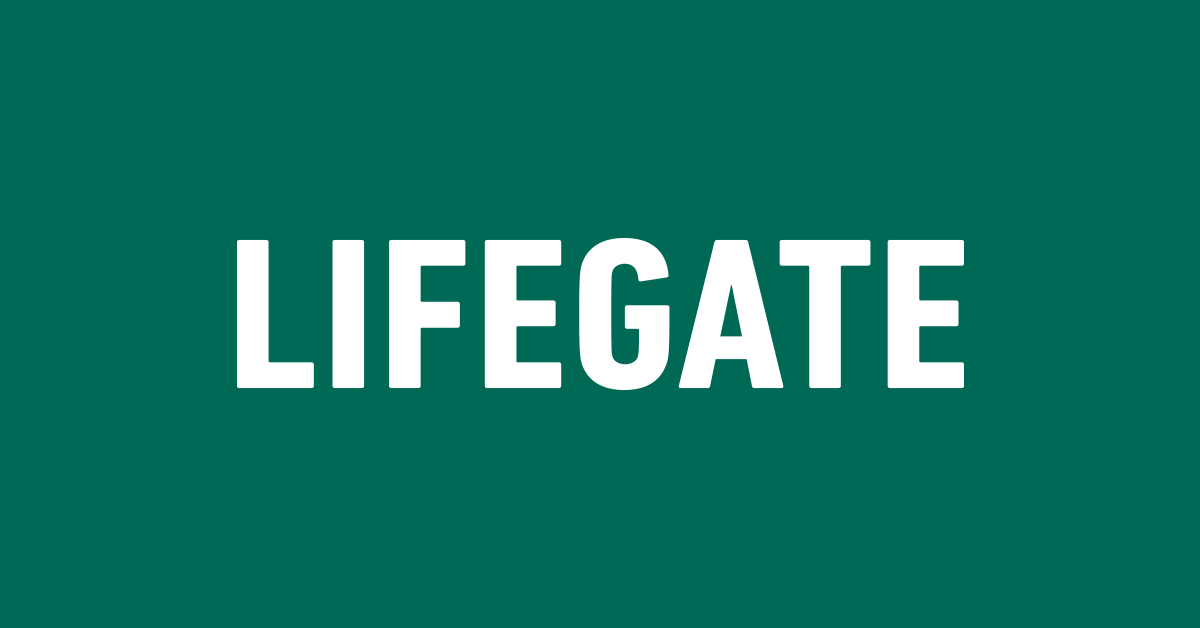 LifeGate International