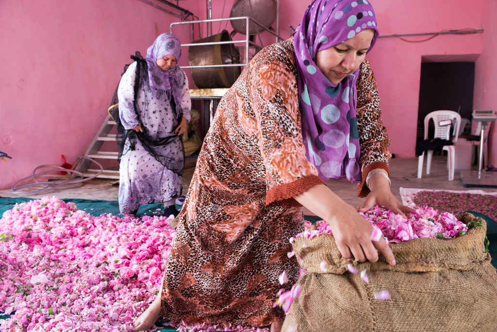 Marocco Il Riscatto Delle Donne Berbere In Una Rosa Lifegate