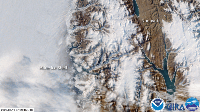Rupture of the Milne Ice Shelf