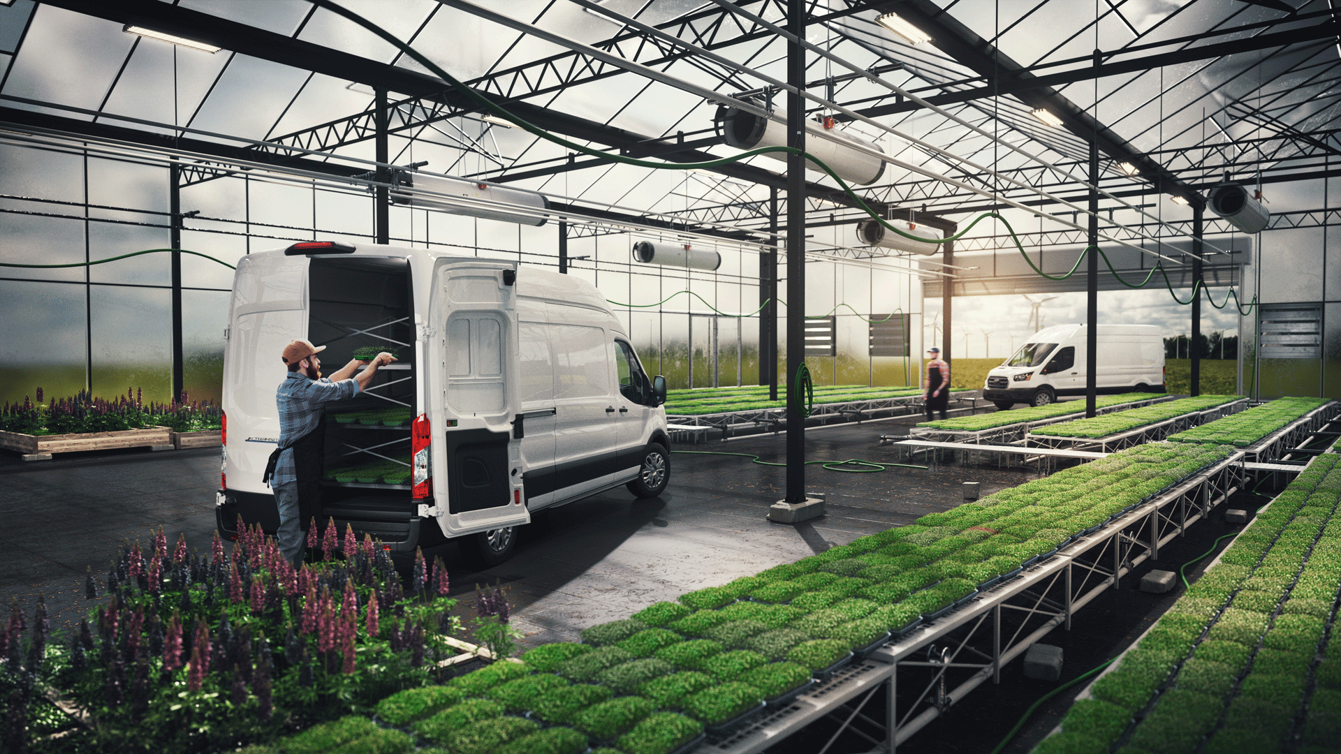 Ford Transit elettrico 