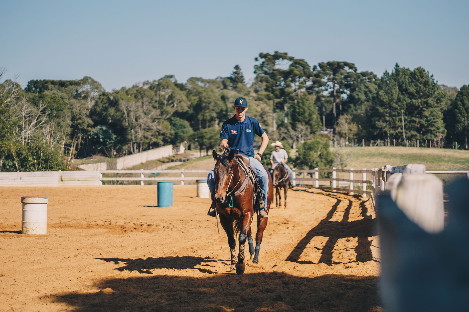 cavallo atleta