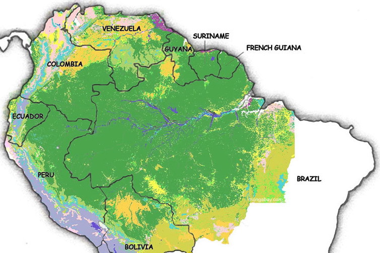 L'estensione della foresta amazzonica