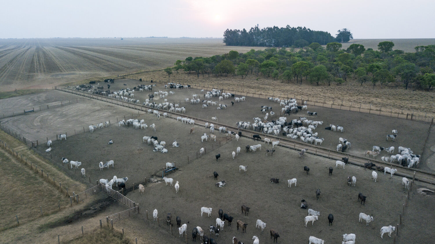 Mercosur–Unione Europea