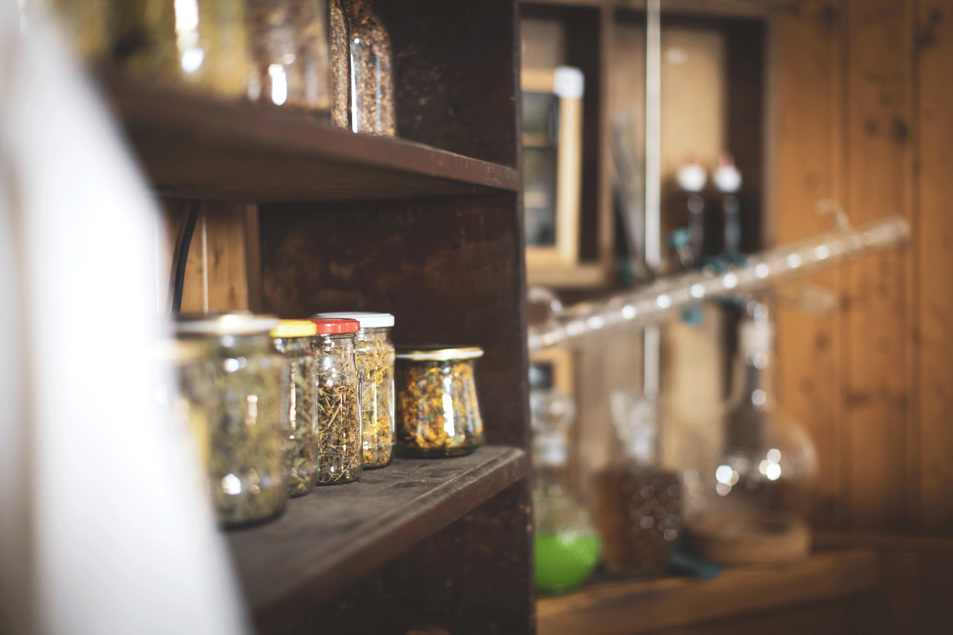 erbe contro il caldo