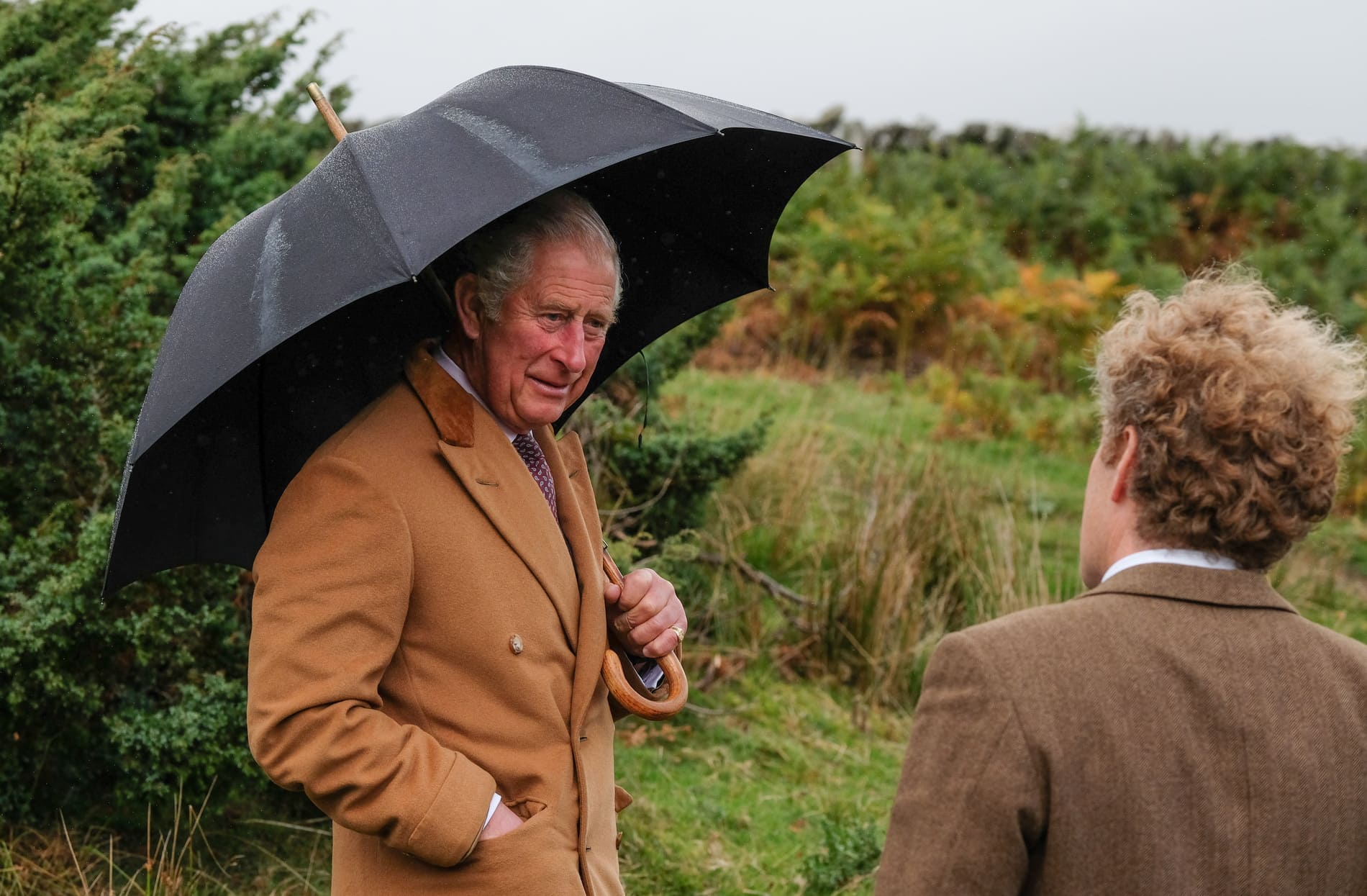Carlo III visita un campo di ginepro selvaggio nel 2018