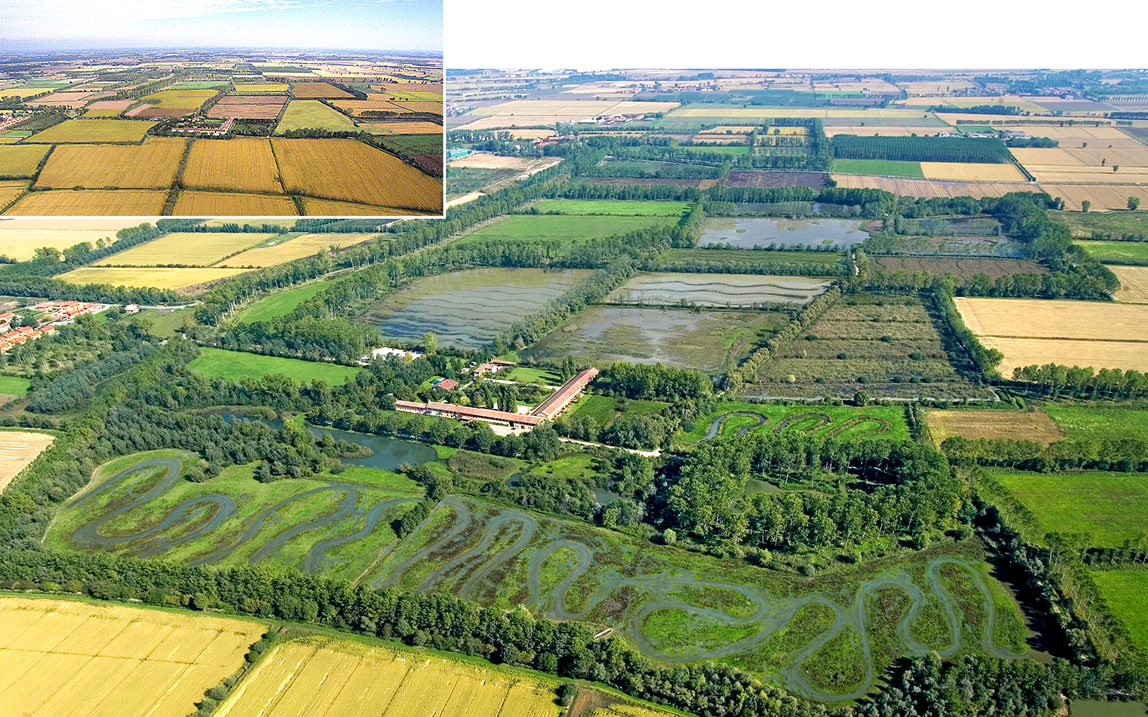 La rinaturalizzazione dei 500 ettari di Giussago, dal 1996 al 2014 