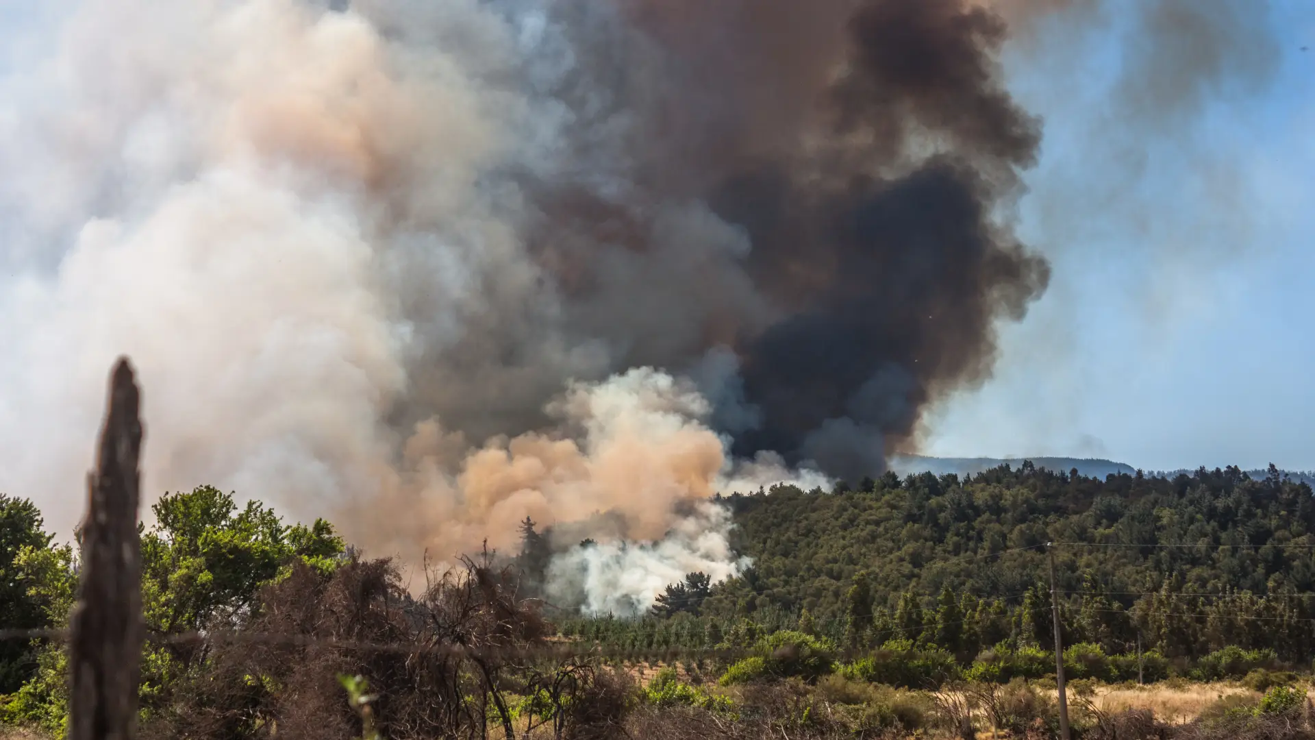 Un incendio nelle foreste del Cile