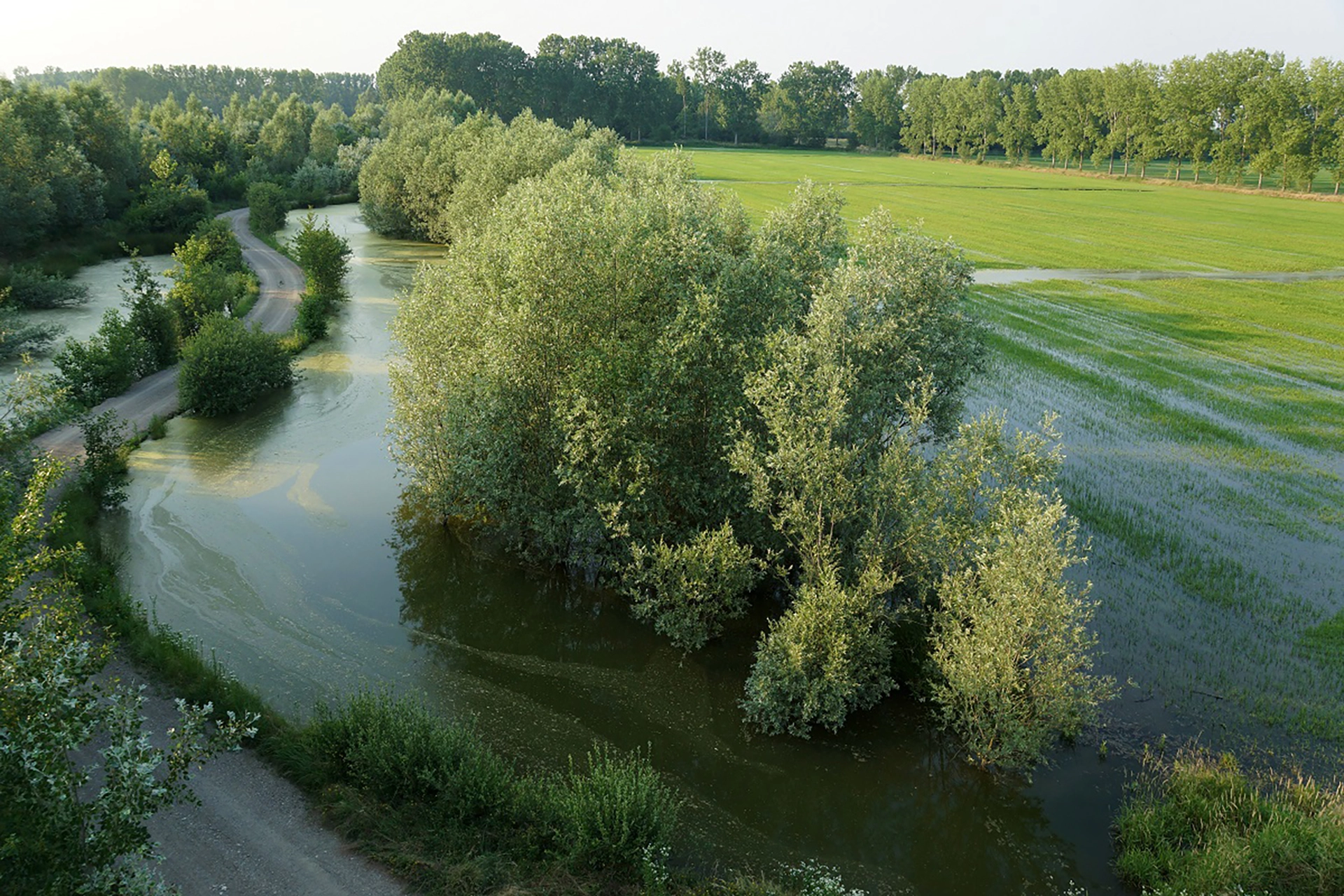 Produttori d’ambiente: così Simbiosi vuole rivoluzionare la filiera agrifood