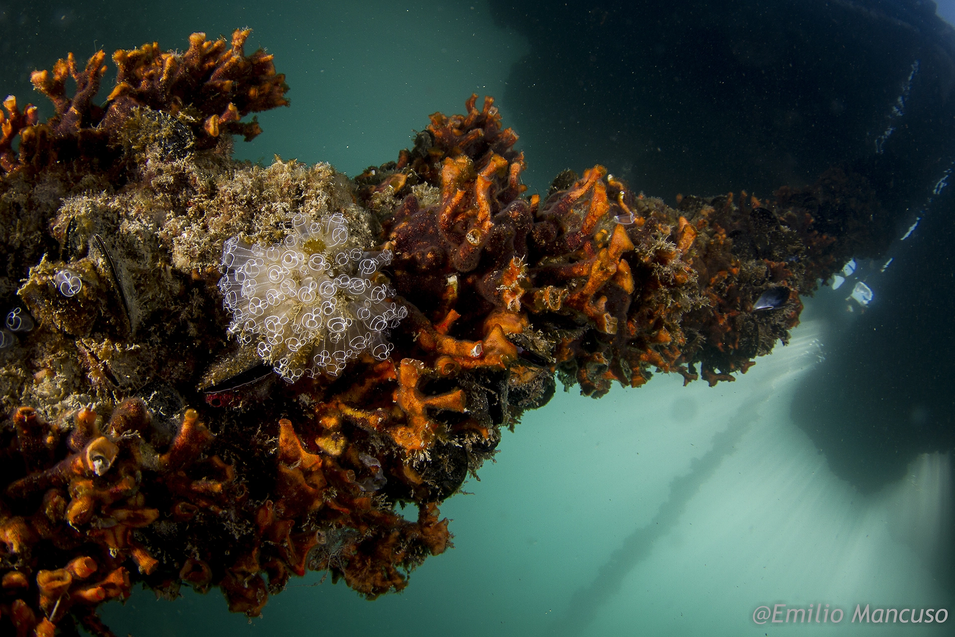 Baia di Santa Teresa