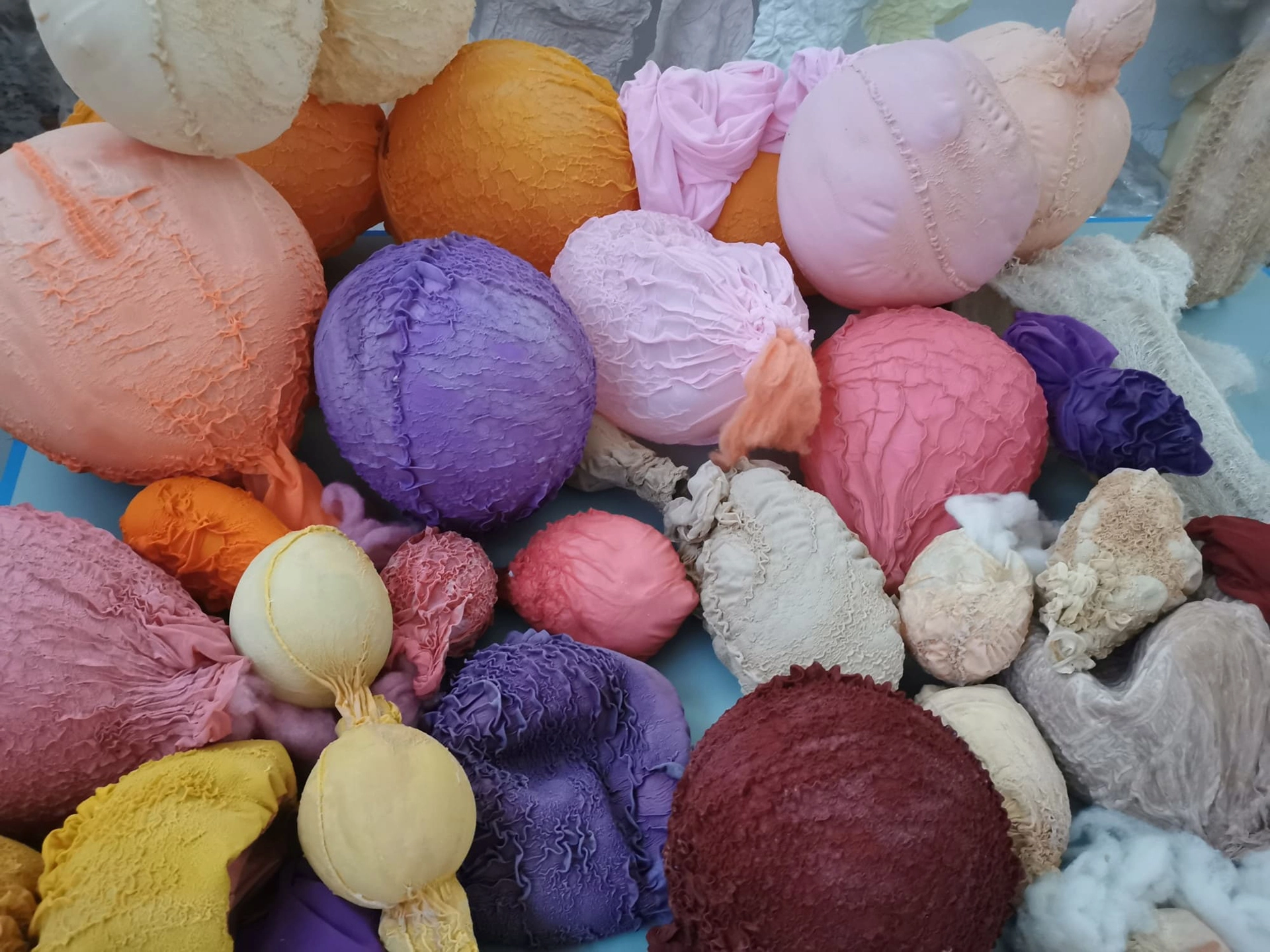 Eva Fàbregas, klima biennale vienna