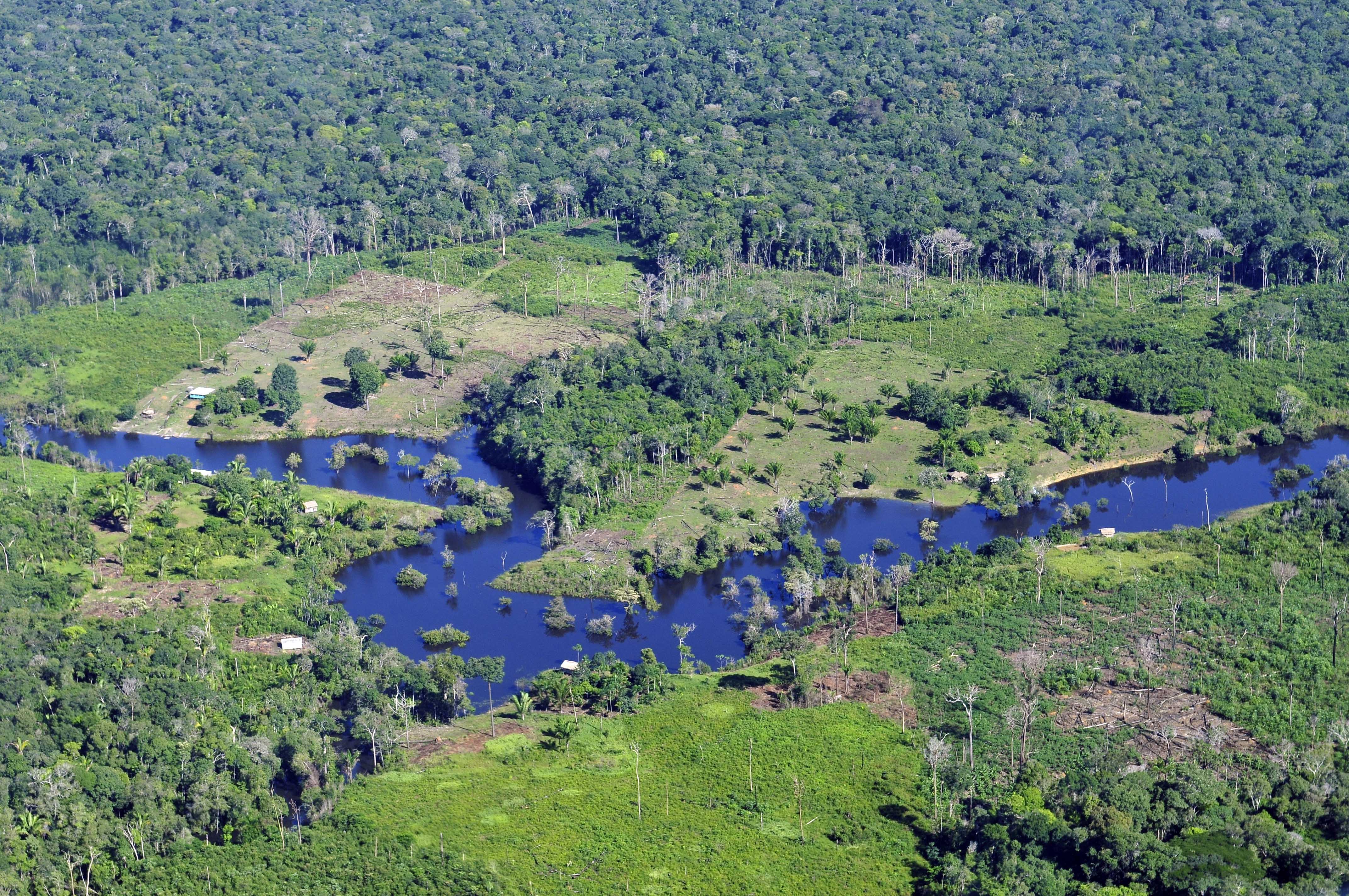 Природный потенциал бразилии. Тропические леса амазонки в Бразилии. Природные богатства Бразилии. Богатство природных ресурсов Бразилии. Минеральные природные ресурсы Бразилии.