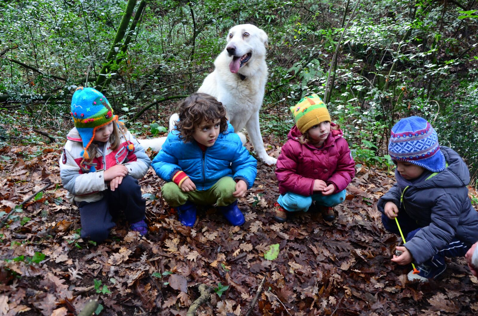 Ci Sono Andata Apposta Nel Bosco