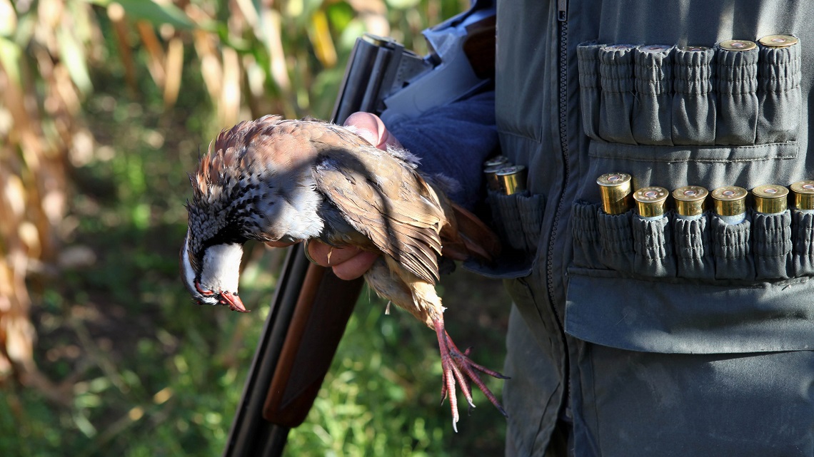 Quante vittime ha fatto quest’anno la caccia LifeGate Quante vittime ha fatto quest’anno la caccia LifeGate