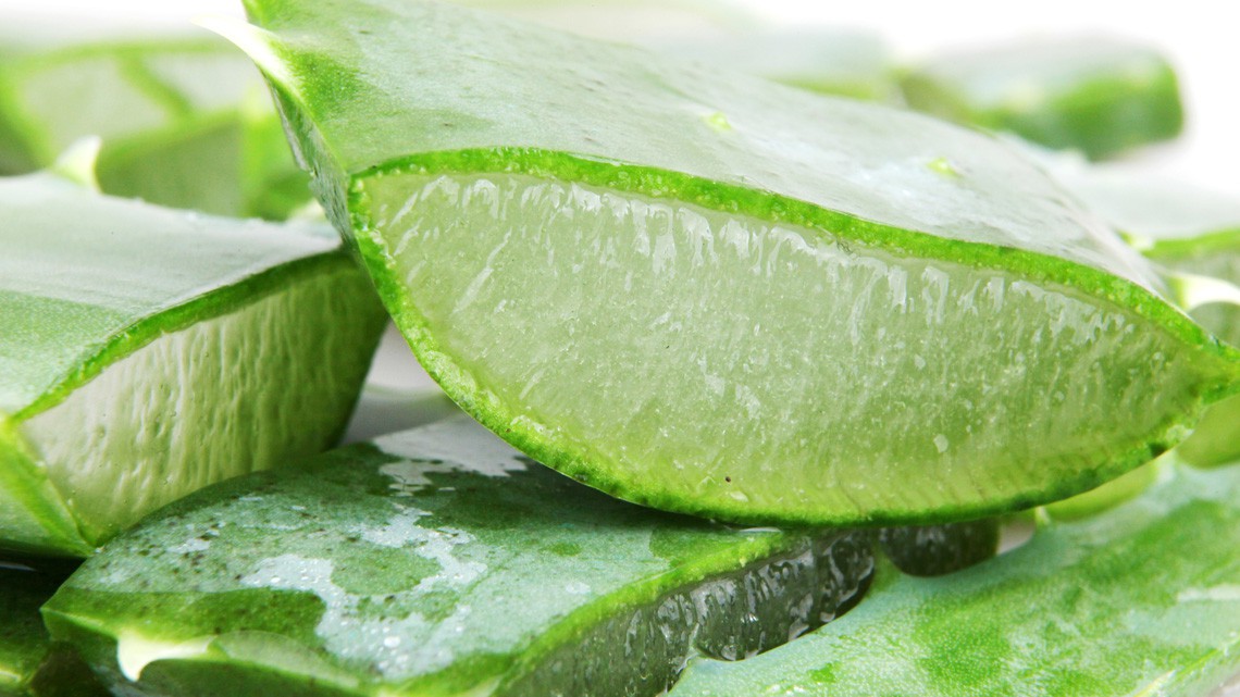 pomata di aloe vera