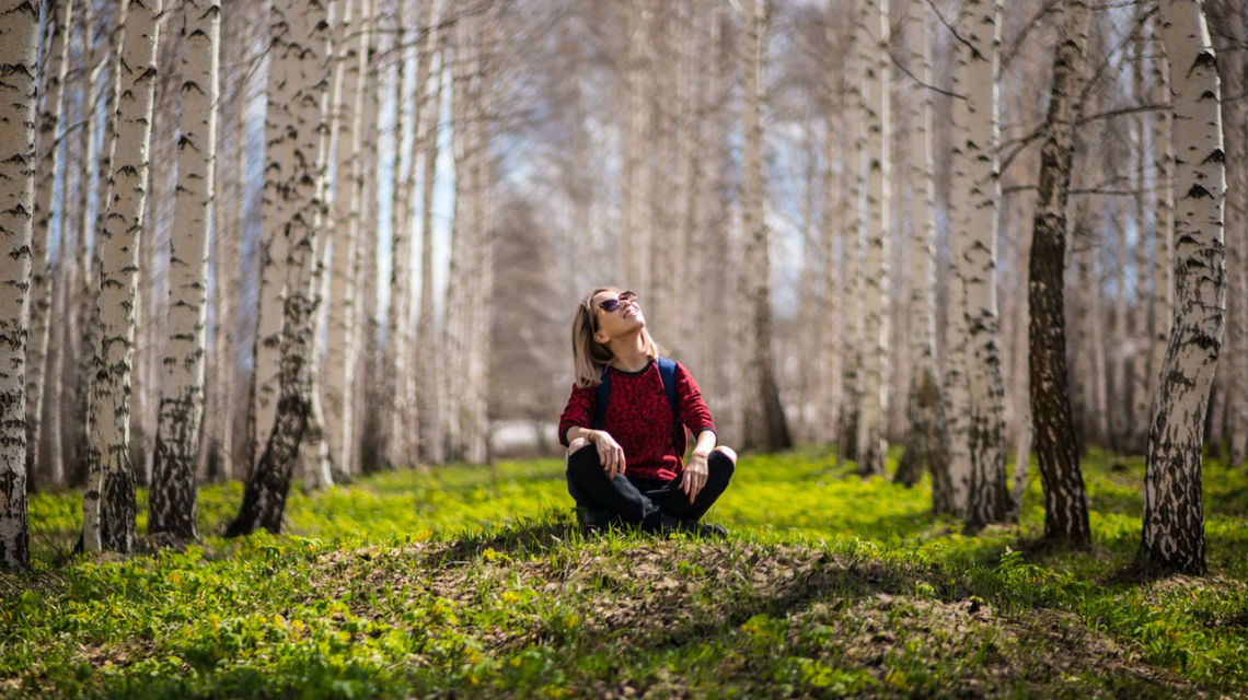 Come Si Gestisce Un Bosco In Modo Sostenibile