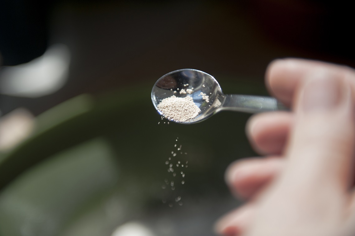 Lievito Di Birra In Cosmesi Ricette Fai Da Te Per La Salute Di Pelle E Capelli Lifegate