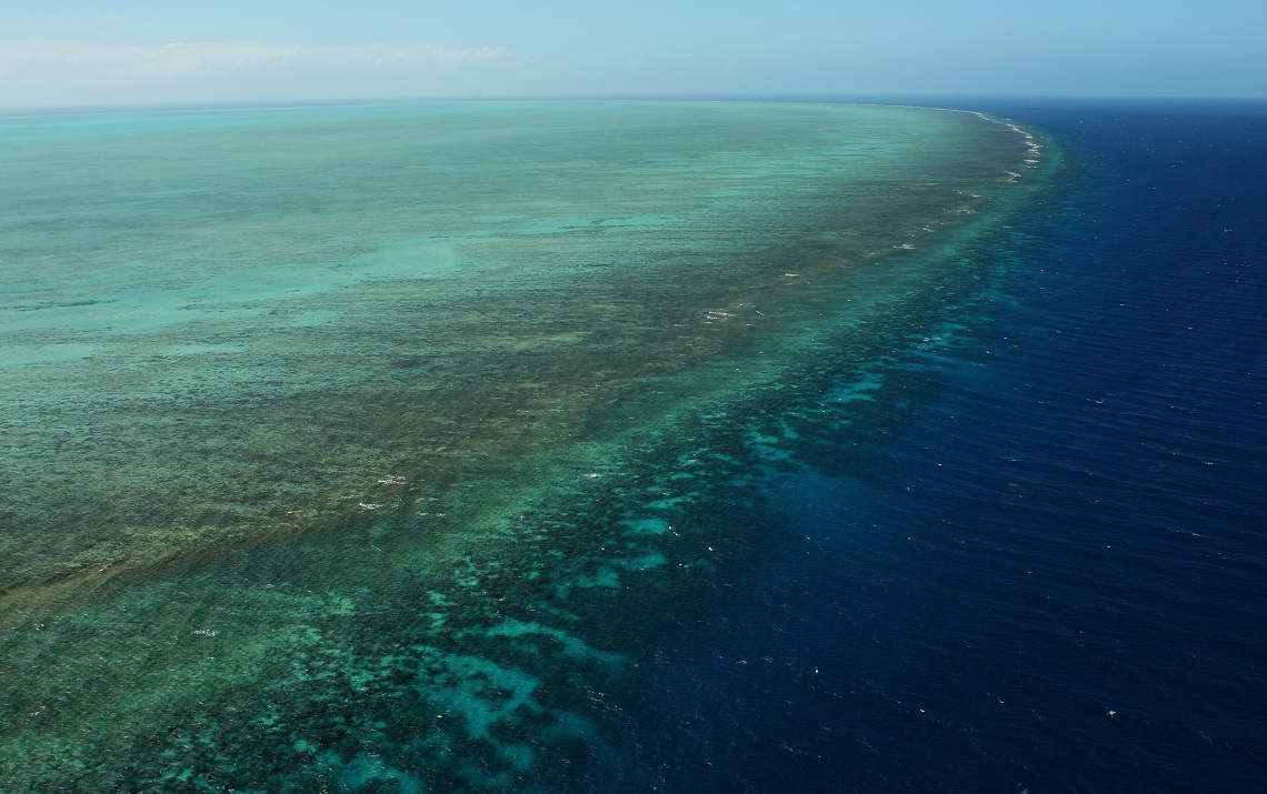 Area della Grande barriera corallina nei pressi di Cairns