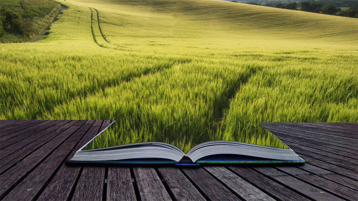 Gli investimenti europei nell'agricoltura sostenibile non sono ancora sufficienti, secondo la Corte dei conti europea © GettyImages