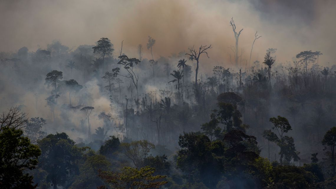 Incendi Amazzonia