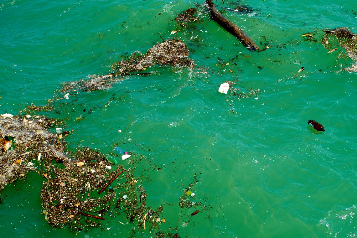 Rifiuti che galleggiano nell'oceano