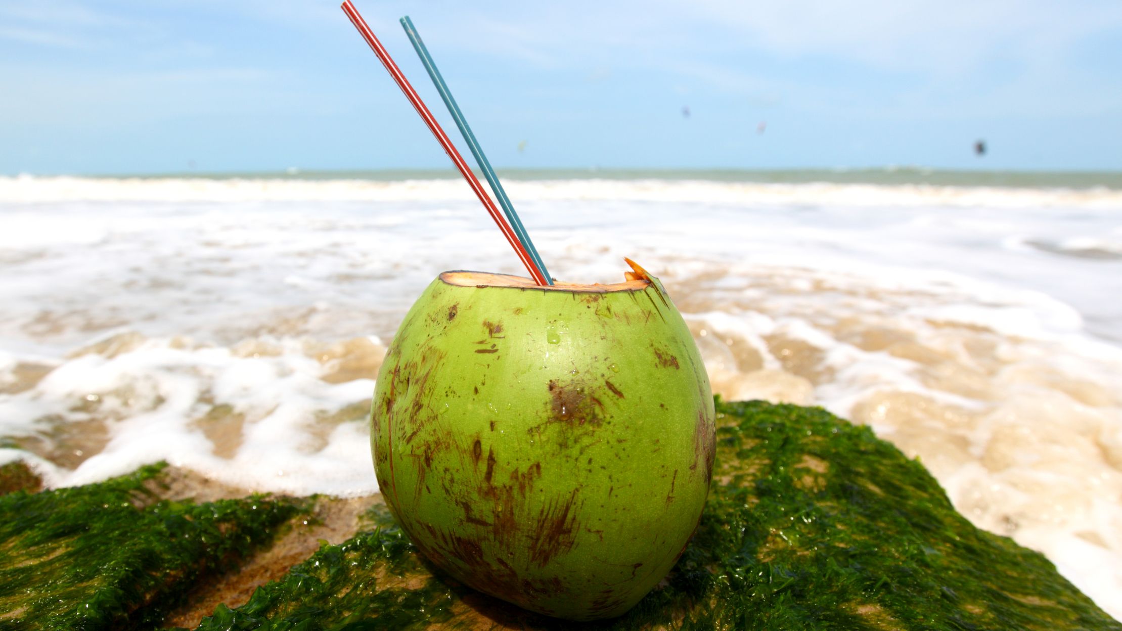 Acqua, latte, olio di cocco: proprietà cosmetiche, ricette di bellezza