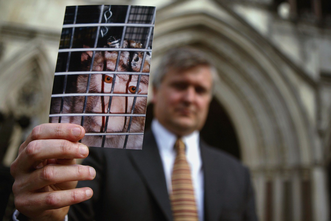 Protesta contro la sperimentazione animale a Londra