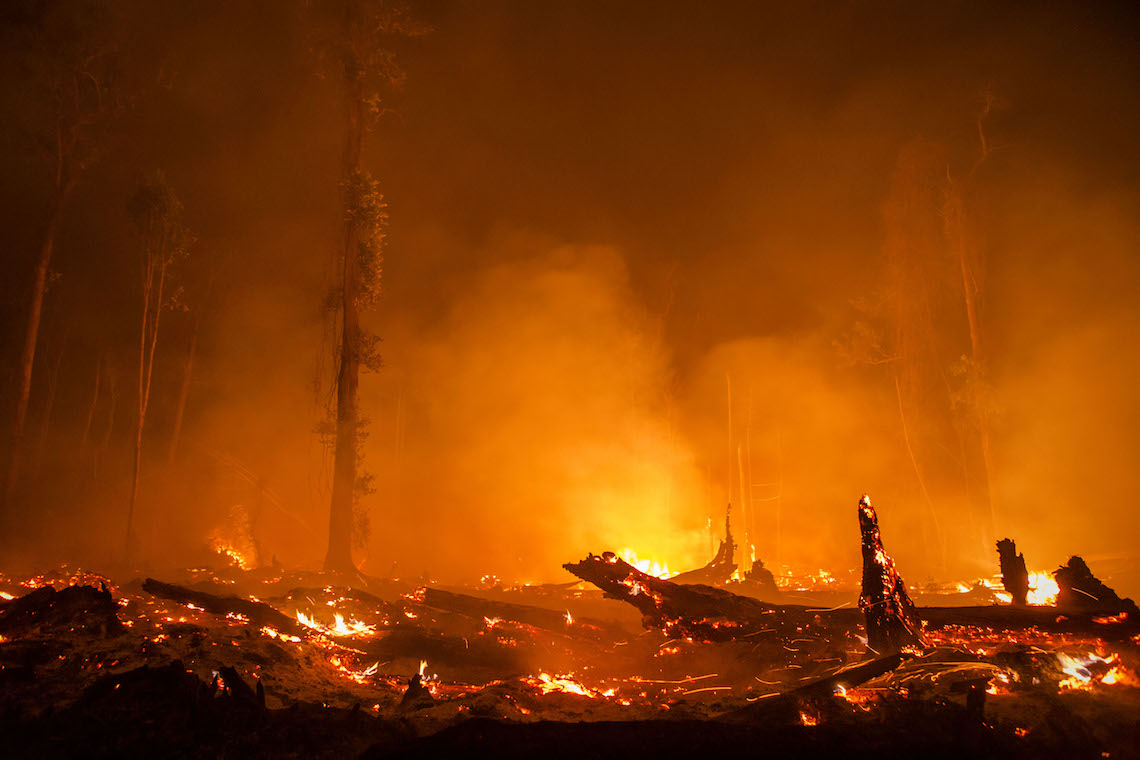 La lotta contro la deforestazione in Indonesia ha portato i suoi frutti. Ma non possiamo abbassare la guardia
