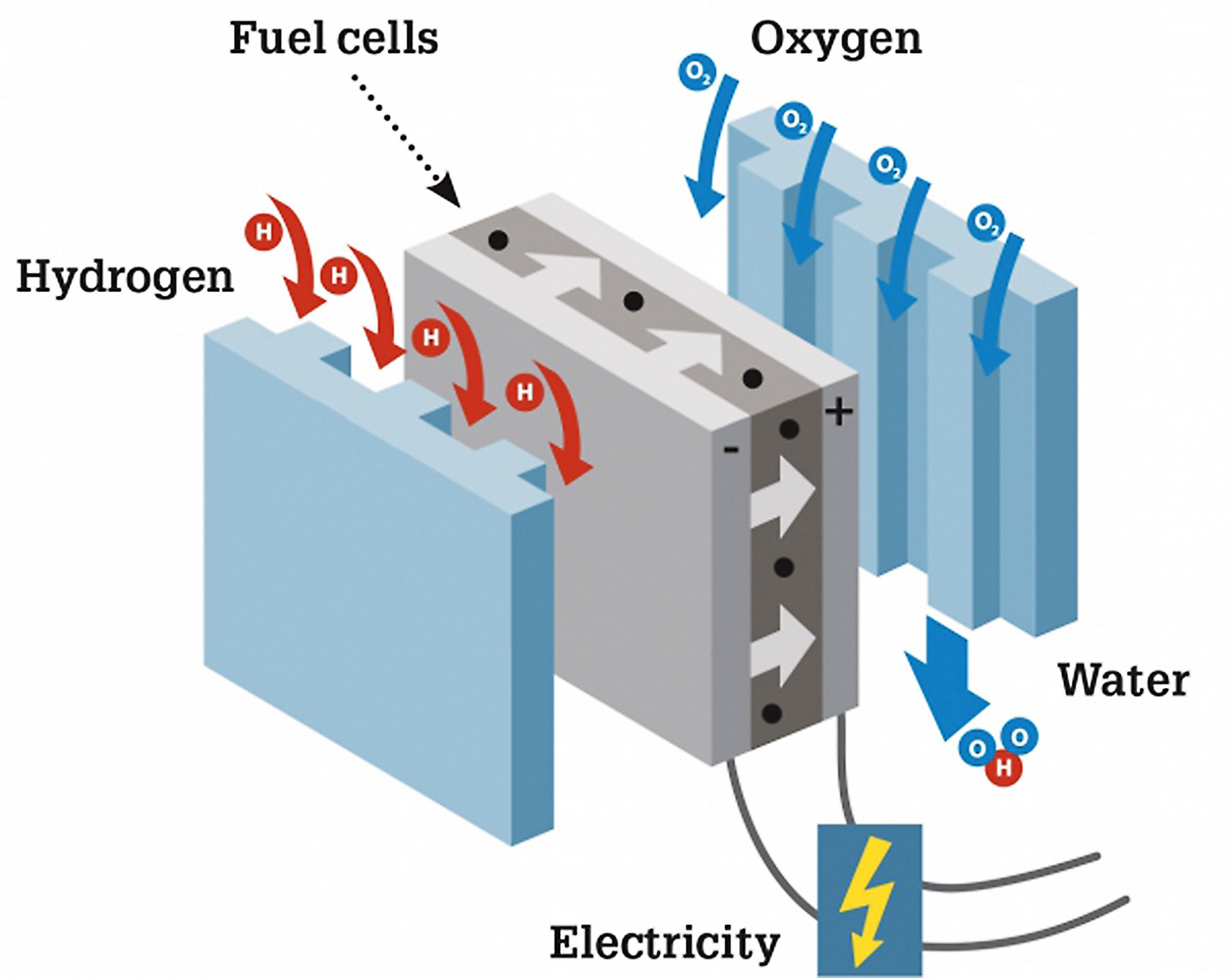 Водородная клетка. Топливные элементы - ячейка (fuel Cell). Топливный элемент (hydrogen fuel Cell – водородный топливный элемент (ячейка). Топливный элемент с протонообменной мембраной. Топливная ячейка на водороде.