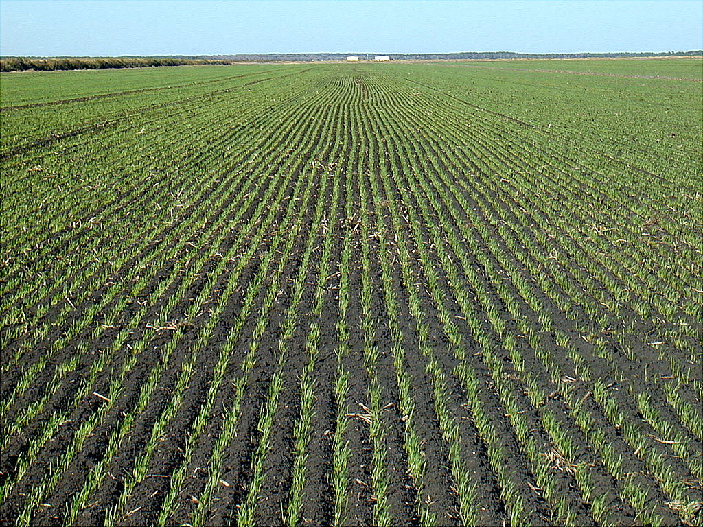 agricoltura intensiva, erosione del suolo