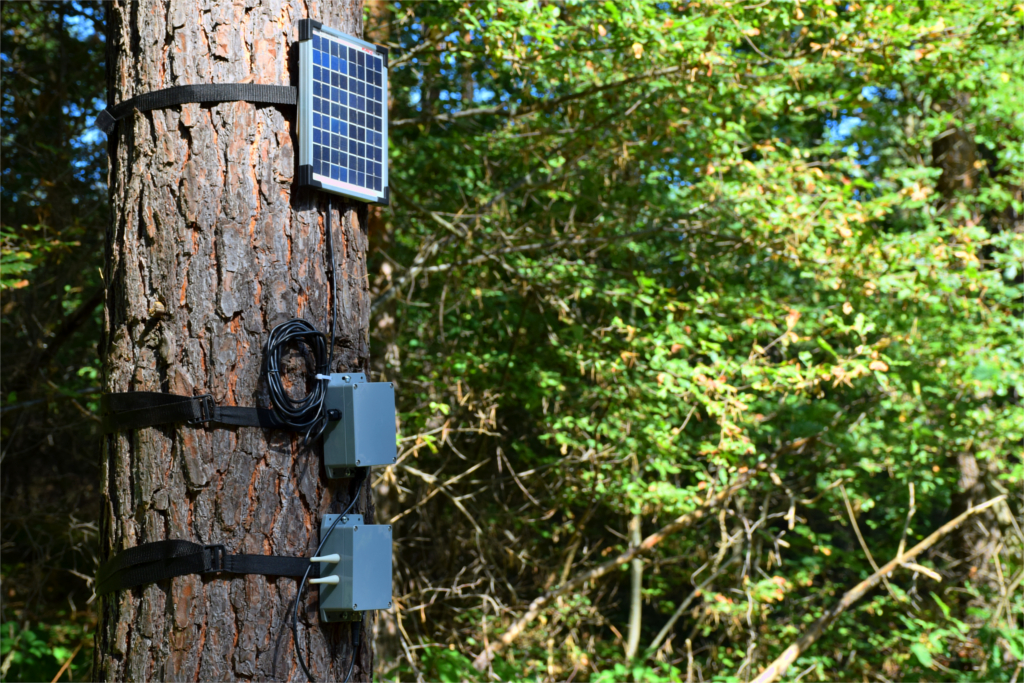 alberi parlanti dispositivo internet cose