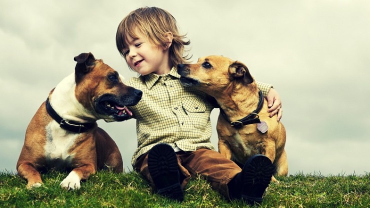 Risultati immagini per CANI E BAMBINI