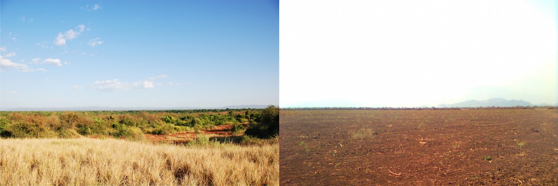 before-after-gibe-iii©Survival