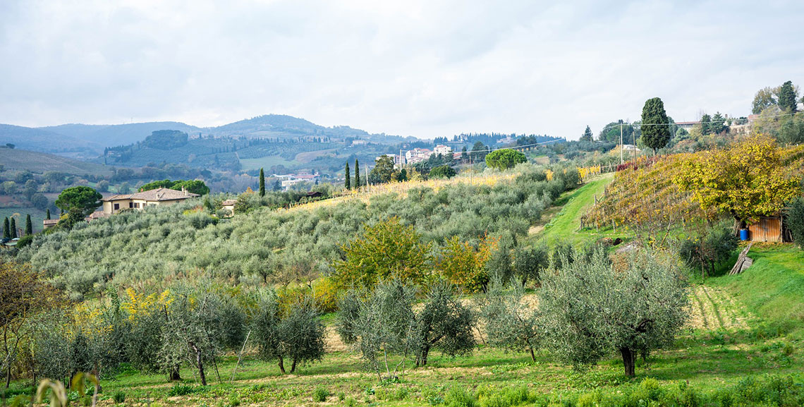 Appello ai candidati sindaci per il divieto dei pesticidi di ...