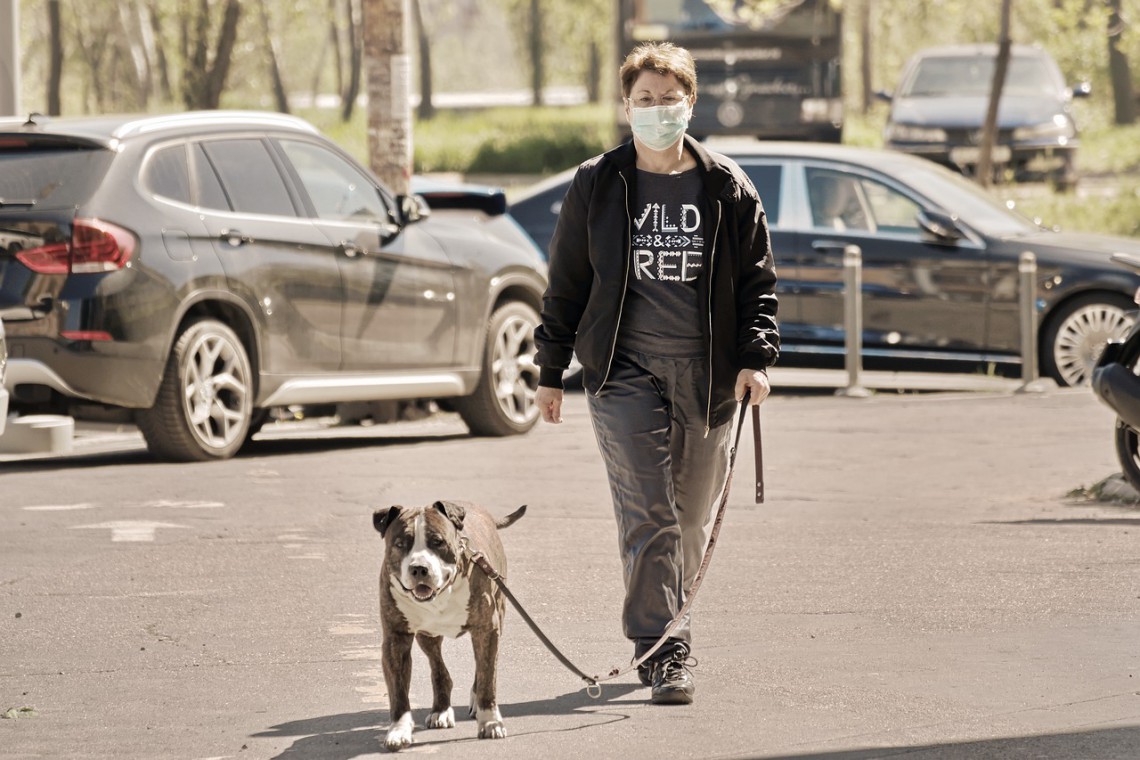 Un cane cammina con il padrone con mascherina. Nel Regno Unito parte un progetto per la formazione di cani anti-Covid