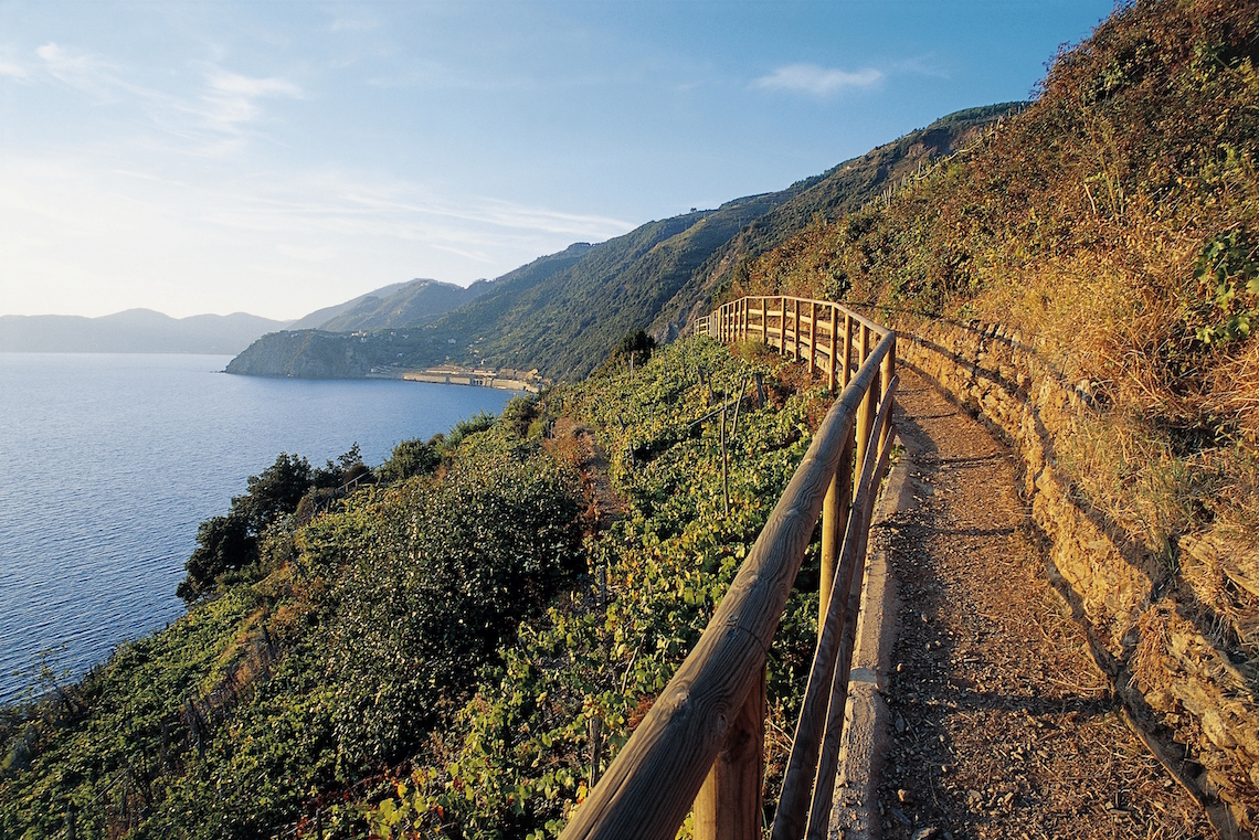 ITALY 100 National Parks Regional Nature Reserves The Wild Side ITALY 100 National Parks Regional Nature Reserves The Wild Side