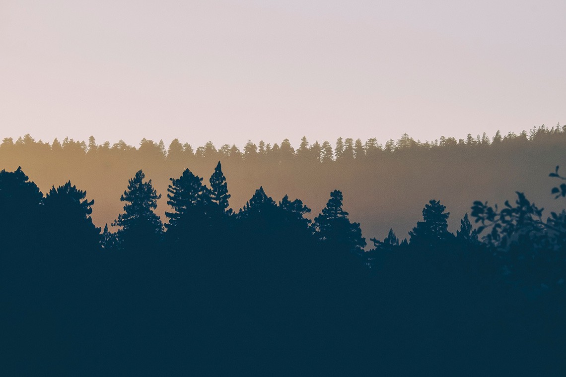deforestazione, cambiamenti climatici