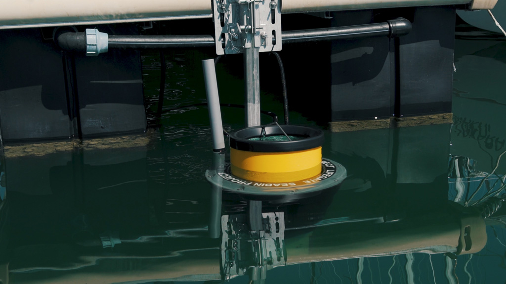 I Seabin LifeGate PlasticLess in 13 porti, grazie a Whirlpool LifeGate