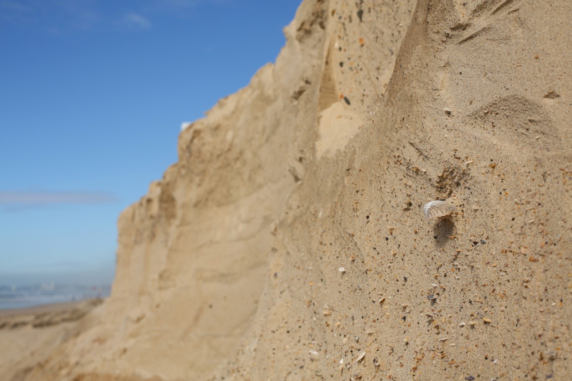 erosione spiagge dettaglio