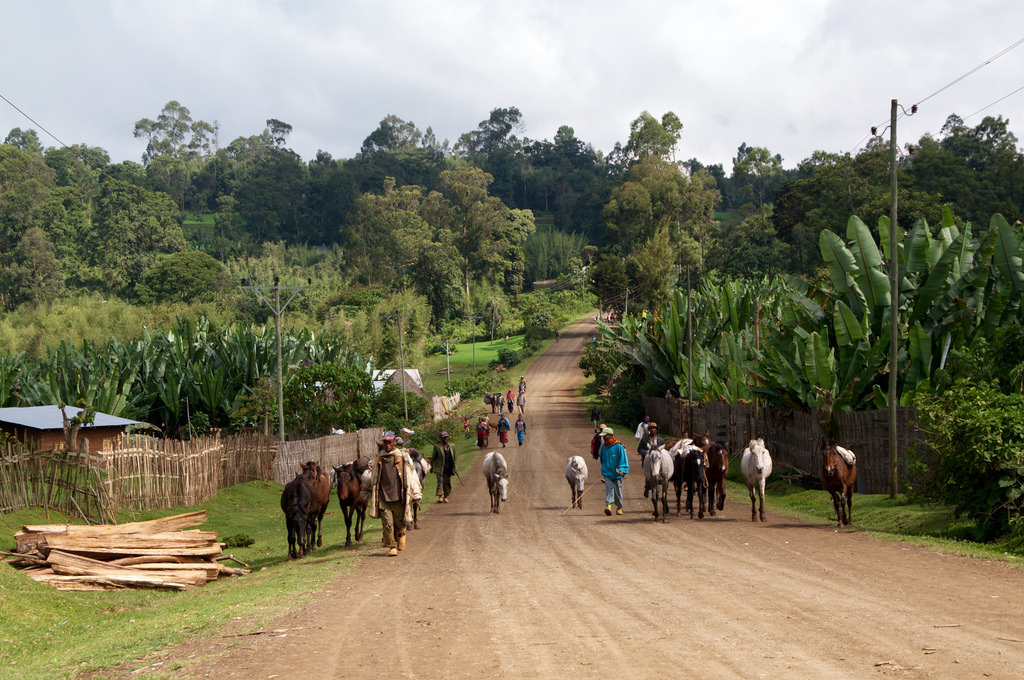 Simone Rugiati. Il viaggio in Etiopia mi ha cambiato, e mi ha fatto