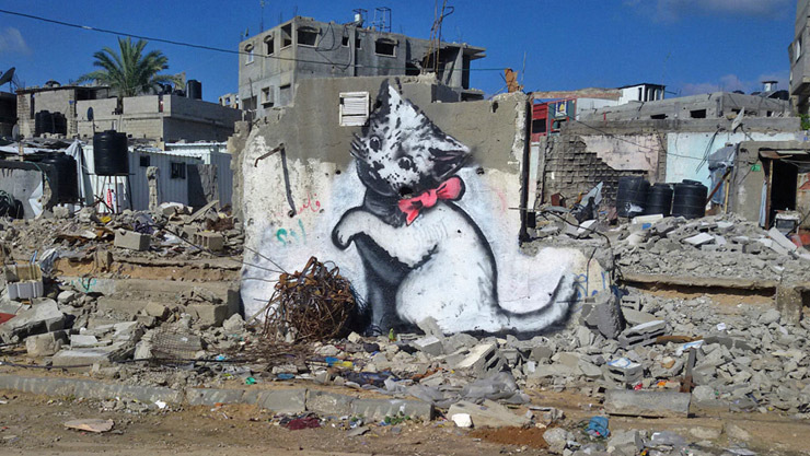 Risultati immagini per banksy gattino siberiano sulle mura di gaza