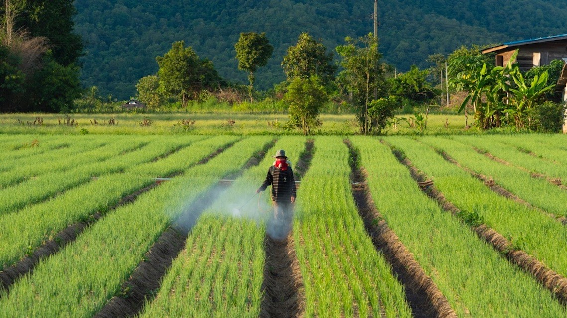 Glifosato, un tribunale americano dà nuovamente torto a Monsanto