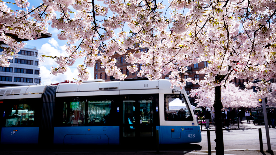 si mette in marcia verso la sostenibilità, ed è anche merito