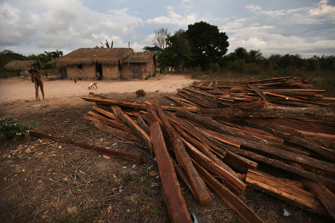 Kawahiva indigenous tribe wins battle against illegal logging in Brazil