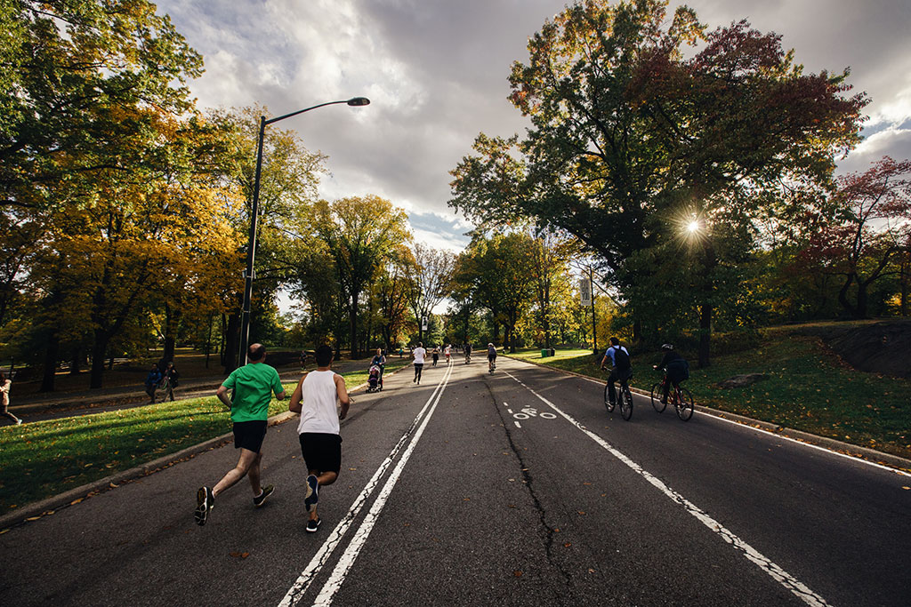 Central Park E Davvero Un Luogo Magico Gli Alberi Crescono Piu Velocemente Lifegate