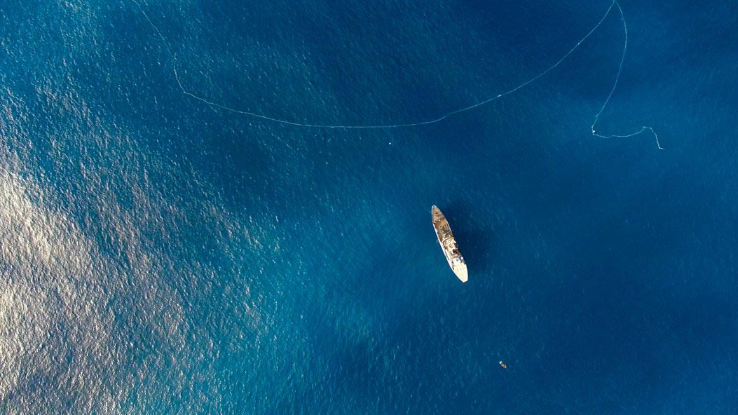 Per salvare il Pianeta dobbiamo mangiare tutti meno pesce